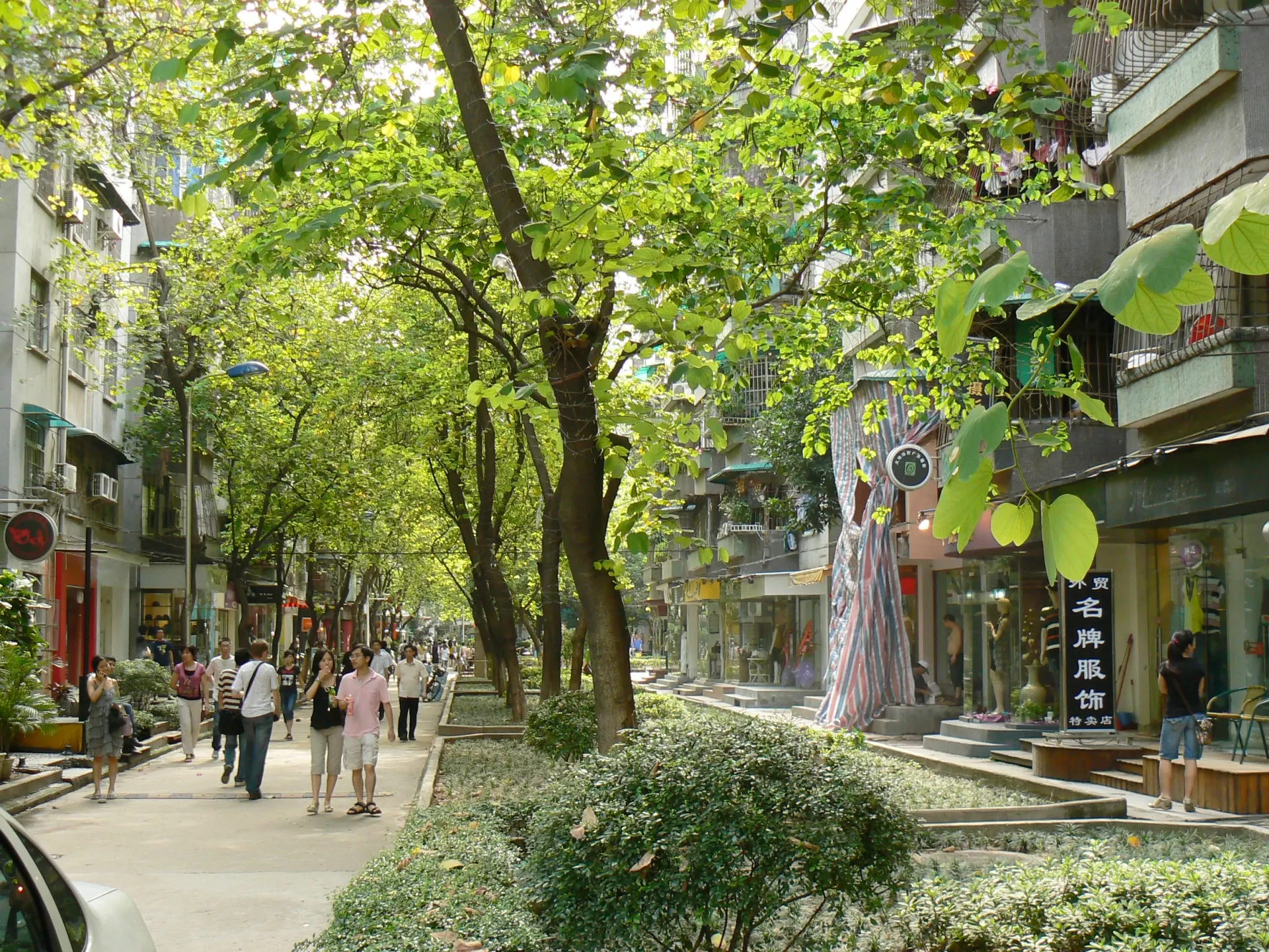 Arborização urbana e ataques de cupins