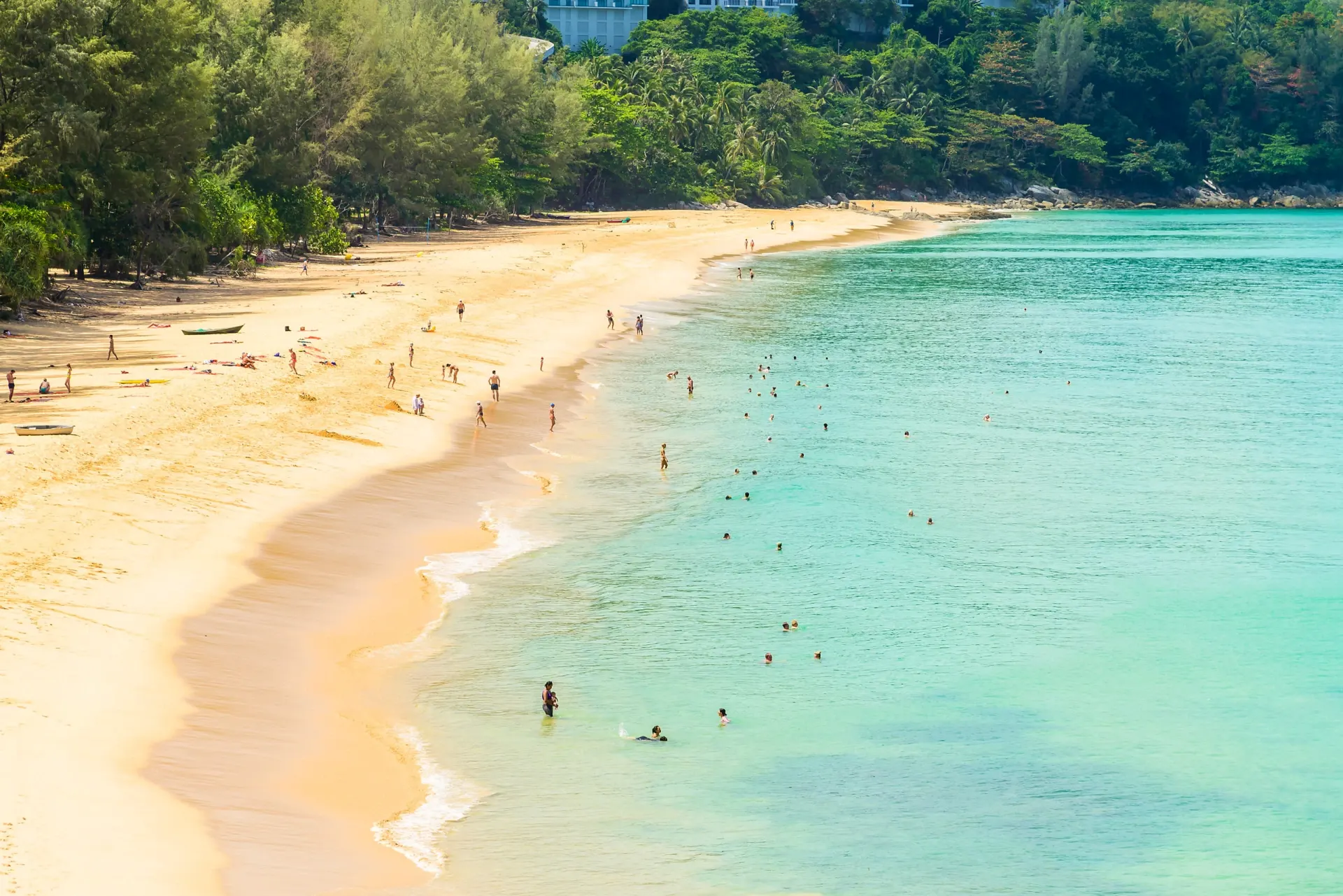 Dedetização na casa de praia