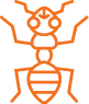Formigas